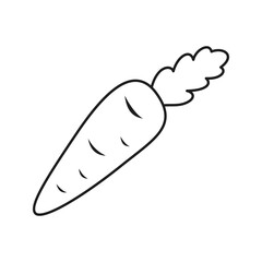 Carrot isolated on white background. Vector illustration