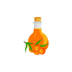 Sea buckthorn berries and oil in a bottle. Vector illustration