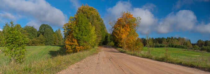 road through the autumn forest.
