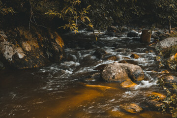 Clean water flows from a waterfall in a rainforest in Thailand.The beautiful nature in the deep forest for relaxation exudes the worries of life.concept for freshness,dew,breeziness