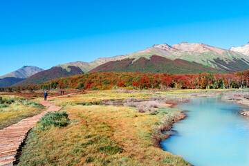 Hiking trail to the Esmeralda lake through magical colorful austral forests, peat bogs, dead trees,...