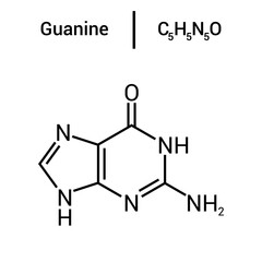 chemical structure of Guanine (C5H5N5O)