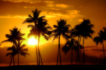 Fototapeta na wymiar Dreamy Misty Palm Trees Sunset Near Ocean Beach Tropical Location Full Moon