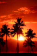 Fototapeta na wymiar Dreamy Misty Palm Trees Sunset Near Ocean Beach Tropical Location Full Moon