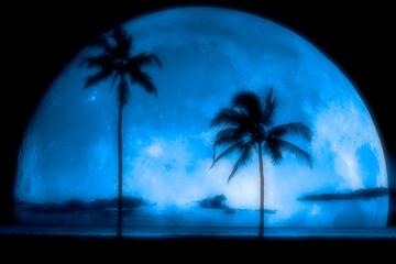 Dreamy Misty Palm Trees Sunset Near Ocean Beach Tropical Location Full Moon