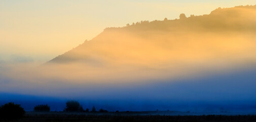 Obraz premium Foggy Valley Meadow with Trees and Morning Sunlight