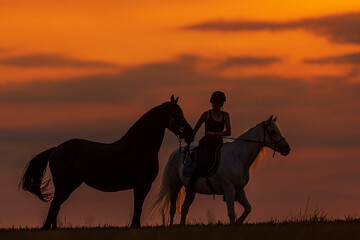 the rider with another horse is colored by the orange sunset