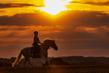 A beautiful rider on a white stallion gallops against a sunset with a colourful sky
