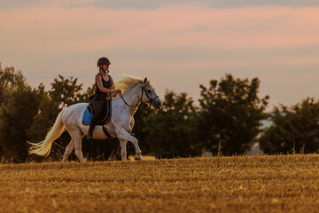 A beautiful rider on a white stallion gallops across a field before sunset