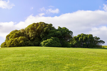 Green meadow view with lush trees in the background and a cloudy sky