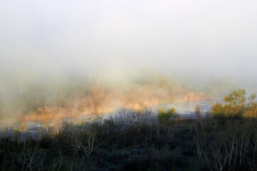 Foggy morning autumn landscape over misty river and forest at dawn. View from above