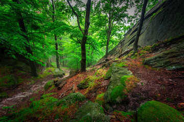 A foggy landscape of stairs from hellish Valley to Chojnik Castle in the Karkonosze Mountains. Poland