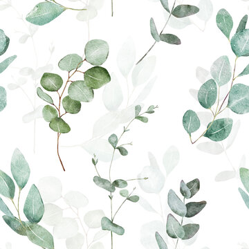 Watercolor eucalyptus seamless pattern. Mint color background. Elegant floral design. Spring botanical print. Nature ornament. Green floral wallpaper.