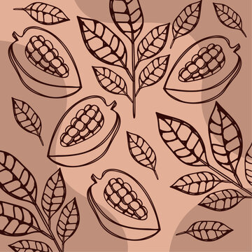 cocoa fruits pattern