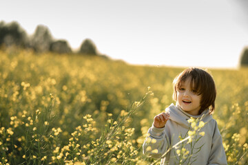 A boy of three in a white jacket walks through a field among bright yellow flowers on a sunny summer day