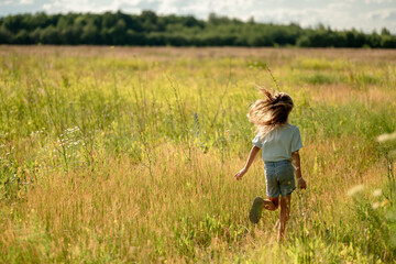 A six-year-old girl in a blue T-shirt walks through a field among wildflowers on a sunny summer day.