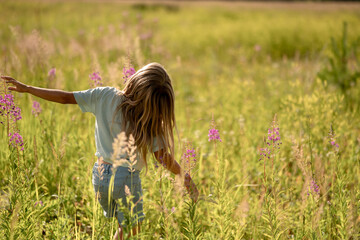 A six-year-old girl in a blue T-shirt walks through a field among wildflowers on a sunny summer day.