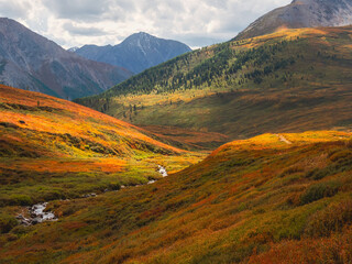Sun after the rain over the summer mountain plateau. Dramatic rainy alpine landscape in green...