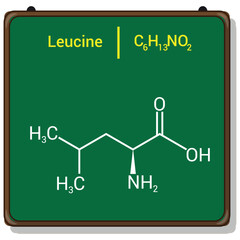 chemical structure of Leucine (C6H13NO2)