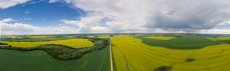 Agriculture landscape with straight country road surrounded by green and yellow fields, blue sky and white to grey clouds. Panorama.
