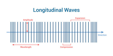 longitudinal waves. Vector illustration isolated on white background.