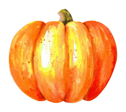 Watercolor pumpkin. A large yellow pumpkin with a cut stem