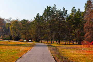 Fototapeta na wymiar Sidewalk in autumn park . Walking path in the city park