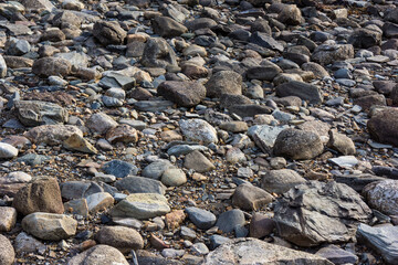 Close view of a rocky beach