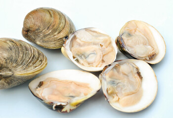 Raw Clams on the Half Shell
