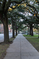 path in the park