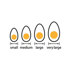 Egg sizes. Set of vector illustrations with arrows and eggs. Drawing on a white background. 
