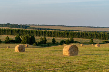 bales of hay