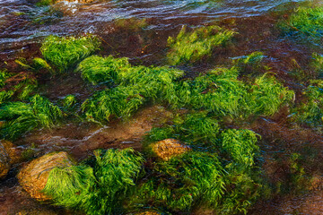 Tag am Meer
Brodtener Steilufer