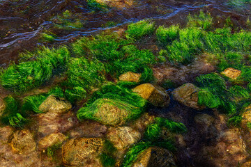Tag am Meer
Brodtener Steilufer