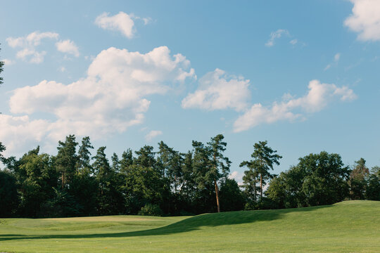 Beautiful sunny summer landscape with a green golf course © alexbutko_com