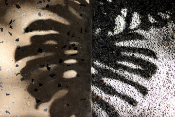 The shadow of the monstera leaves stretching on the cobblestone ground.