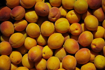 Lots of Ripe yellow apricots close-up, top view
