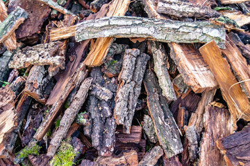 Fototapeta premium Photography on theme big wall of stacked oak tree logs in cracks