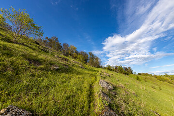 Naklejka premium Landscape with bright greenery, stones and bushes against a blue sky. The path leading up the mountain.