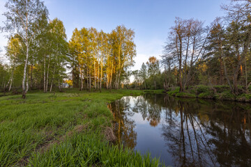 Fototapeta na wymiar Evening landscape with a river and bright green grass in the foreground.