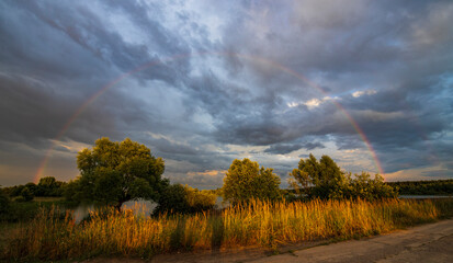 Plakat Rainbow against a dramatic sky. Picturesque rural landscape. The trees in the foreground are illuminated by the rays of the setting sun.