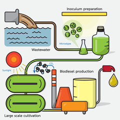 Cultivation of microalgae in wastewater could significantly contribute to wastewater treatment, biodiesel production, and thus the transition to renewable energy.