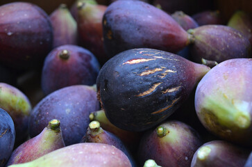 Cosecha de higos negros