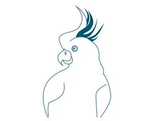 Beautiful blue parrot bird line drawing isolated on white background - vector illustration