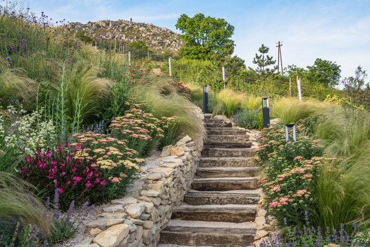 Rustic wooden stairs and stone wall in the garden.