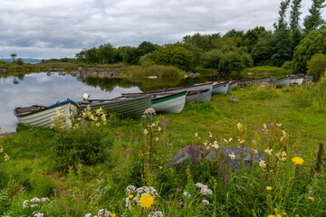 many wooden fishing boats on the shores of Lough Corrib lake with colorful summer wildflowers in the foreground