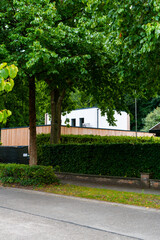 white house with trees and hedge