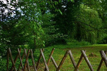Landscape with fence made of crossed sticks in the foreground, trees and green bushes in a summer day. Natural forest background. Wildlife. Poland, park in the Kurnik castle, Poznan, June 2022.  © B.inna
