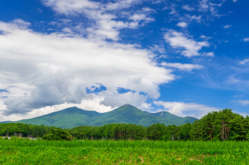 Fototapeta na wymiar 夏の八ヶ岳と自然風景