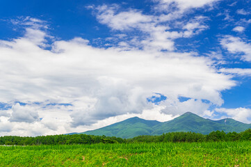 夏の八ヶ岳と自然風景